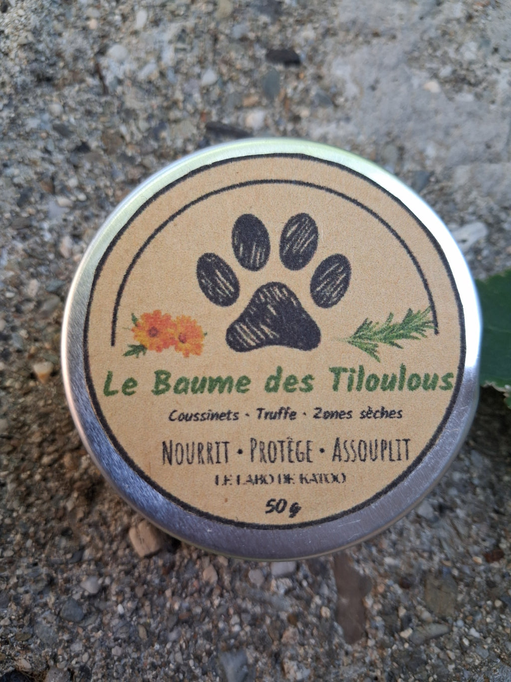 Le Baume des Tiloulous – Coussinets, truffe et zones sèches