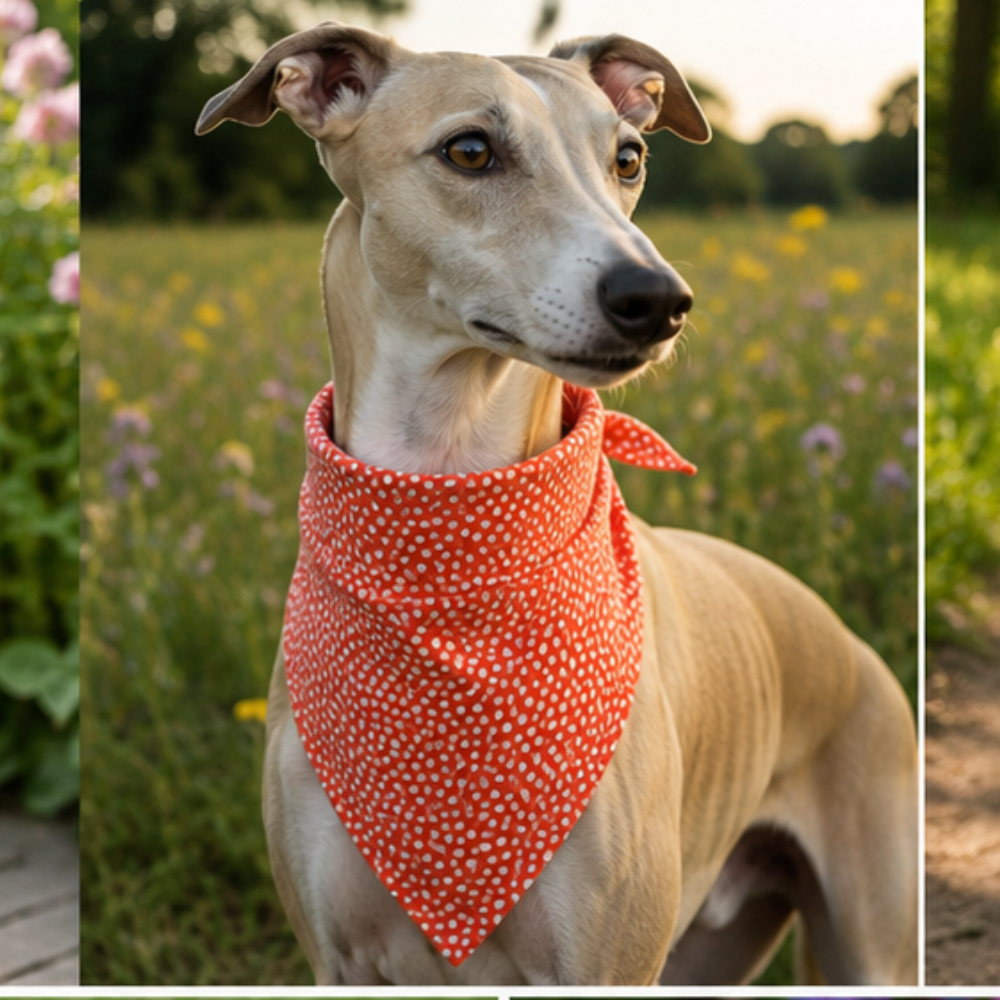 🌟 Bandana “Dolce Vita"- Mini Série