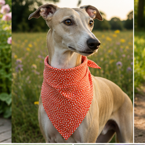 🌟 Bandana “Dolce Vita"- Mini Série