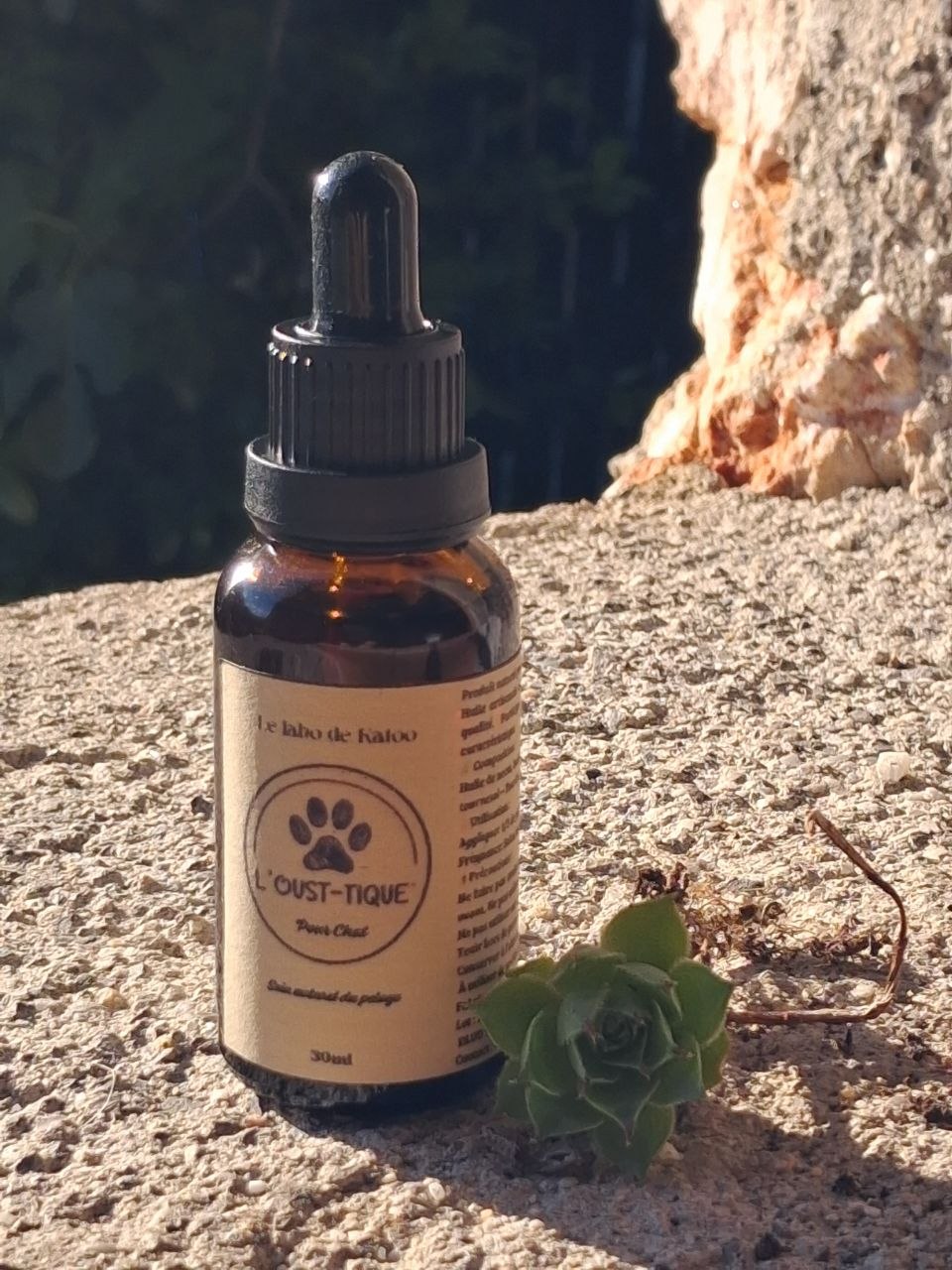 🐱 L'Oust-tique Chat- 30 ml